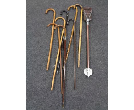 A bundle of eight antique and later walking sticks together with a shooting stick.  