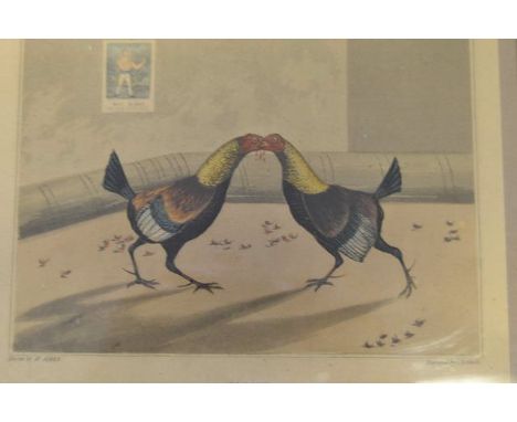 Henry Alken - four cock fighting prints engraved by C R Stock - 'Fight', 'Set Too', 'Throat' and 'Death' - print size 16x19cm