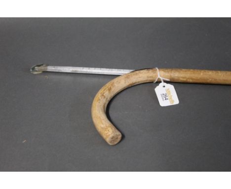 Measuring stick walking stick