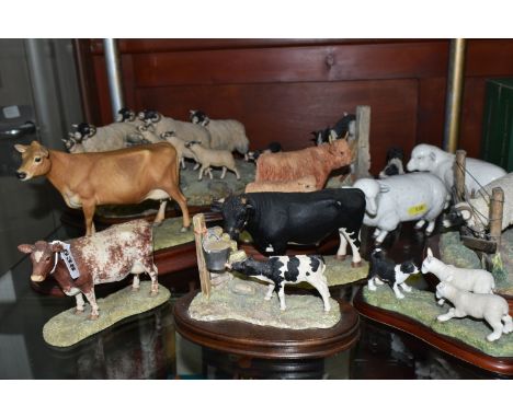 EIGHT BORDER FINE ARTS FIGURES OF CATTLE AND SHEEP AND THREE OTHER SIMILAR FIGURES, including a limited edition group Gatheri