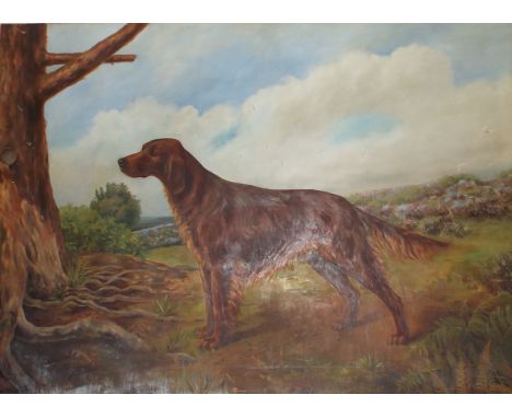 S Ripley, Croftdown Colin, age 5, 1936, a full size study of a red setter in a landscape, oil on canvas, signed, inscribed ve