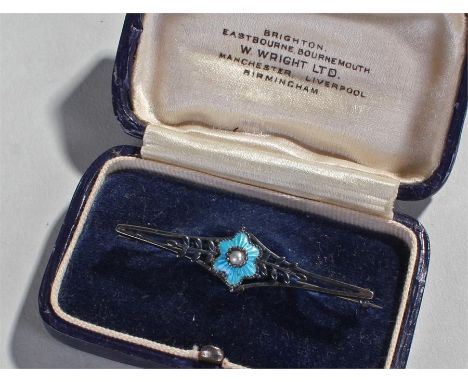 Silver and enamel brooch, the central enamel flower with silver back, cased