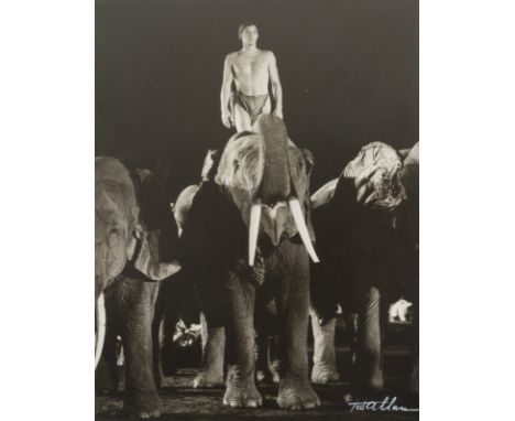 Ted ALLAN (1910-1993)Johnny Weissmuller as TarzanSilver print signed lower right34 x 26,5 cmFamous Hollywood photographer, en