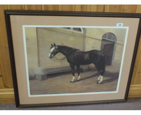 T.Campbell Fraser, signed limited edition print, Racehorse Sefton, 20" x 24"