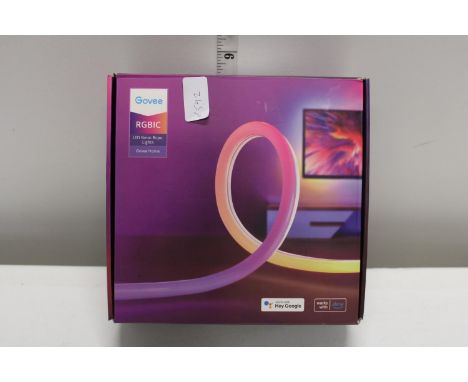 A boxed Govee neon light rope 