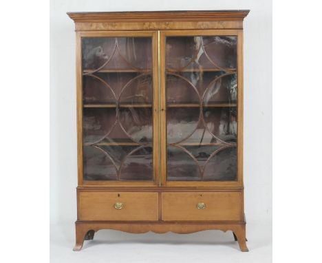 19th Century mahogany and inlaid bookcase cabinet, moulded cornice over two astragal glazed doors opening to three adjustable