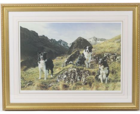 Steven Townsend (b. 1955), Sentinels of the hills, Border Collies at rest, signed limited edition print, numbered 154/660, 49