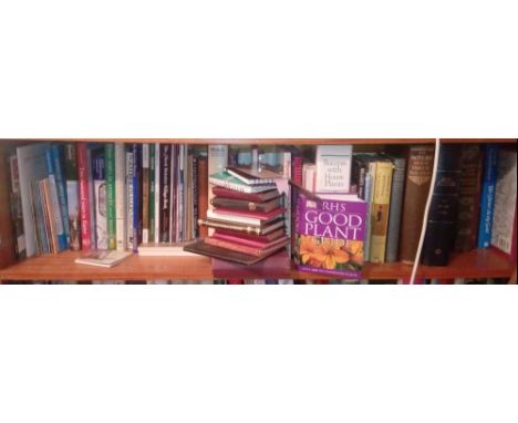 A shelf of various books