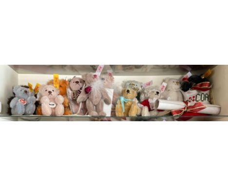 Twelve Steiff small teddies