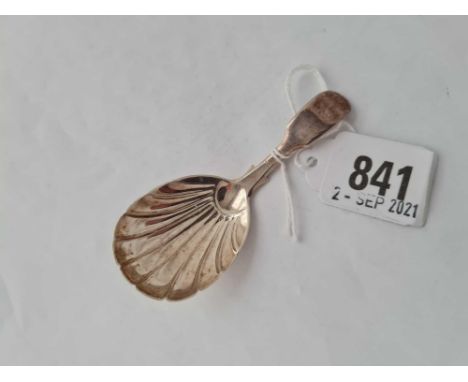 A Victorian caddy spoon with shell bowl - London 1880 by G.A