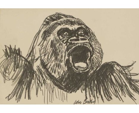 ▲ John Bratby RA (1928-1992) Guy the Gorillasigned 'John Bratby' l.c., graphite25.5 x 35.5cm, unframedCondition ReportSpots a
