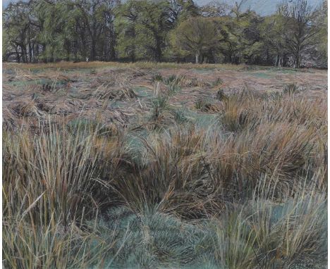 ▲ Christopher Bramham (b.1952) Richmond Parksigned and dated 'C Bramham/1989' l.r., pastel33 x 39cmCondition ReportFramed: 56