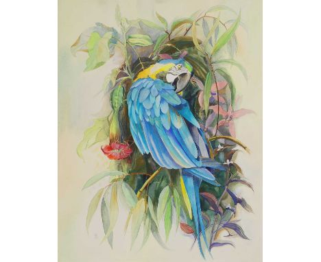 ▲ Joan Warburton (1920-1996) 'In Memory of Rubio, Cedric’s Macaw'signed with initials and dated '73' l.l., watercolour69.5 x 