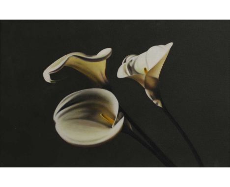 Guy Diehl (American, b.1949) 'Three Calla Lilies'signed and dated 'Guy Diehl 86' and inscribed with title verso, acrylic on c