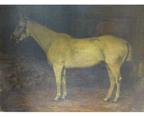 19th / 20th.C. ENGLISH SCHOOL.   PORTRAIT OF THE RACE HORSE JEDDAH, A DERBY WINNER. OIL ON CANVAS.   51 x 62cms.