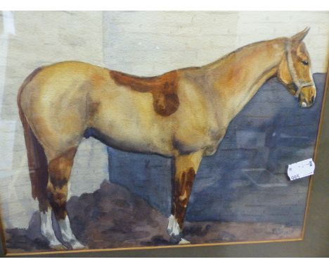 EARLY 20th.C.ENGLISH SCHOOL.   PORTRAIT OF A RACEHORSE, SIGNED INDISTINCTLY, WATERCOLOUR.   22 x 28cms.