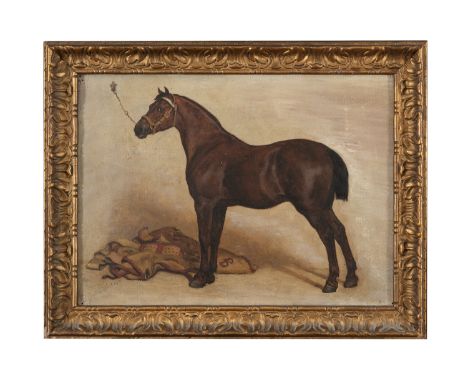 JOSEPH HOLLAND TRINGHAM RBA (1861-1908) Portrait of a tethered bay hunter in a stable Oil on canvas, 12 x 16 (30.5 x 40.5cm) 