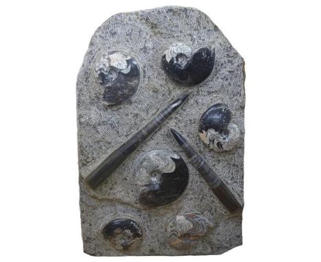 A large and impressive ammonite and orthoceras fossil panel, H96cm, W60cm