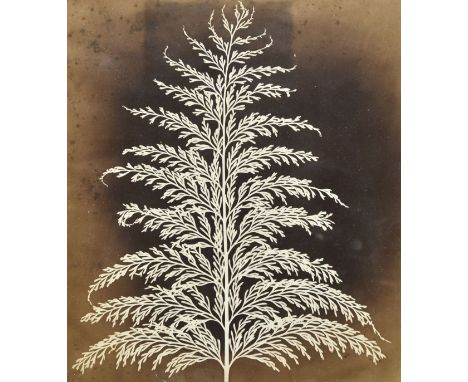 Great Britain. Dupe (William Henry, 1824-1901, butler at Thenford, Northamptonshire). A photograph album of approximately 260