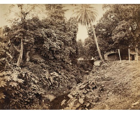 * India. Macfarlane (Donald, 1830-1904). A group of 7 photographs, c. 1860, albumen prints, mounted back-to-back on contempor