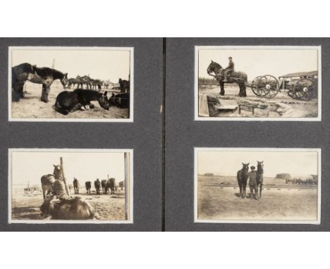 Military. An album of 92 window-mounted photographs of war horses and their soldier handlers in France during World War One, 