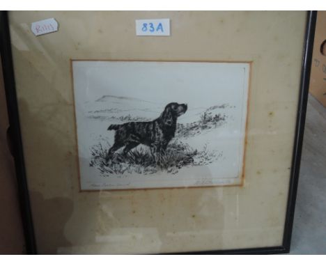 A RBE Woodhouse etching Black Cocker Spaniel