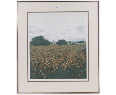 Phil Greenwood,
coloured etching, "Meadow Gold", signed in pencil, No. 164/250, p 21" x 18.5", framed.