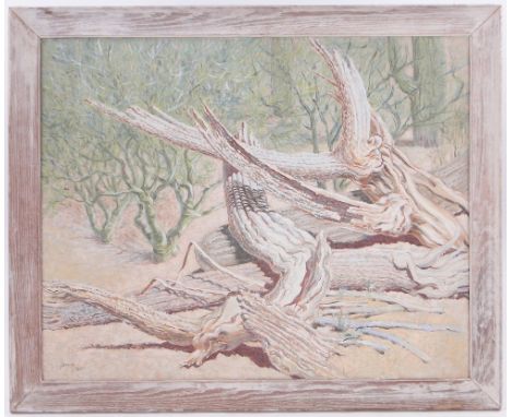 K A Jarvis,
oil on canvas, "Bones of the Giants, Arizona 1955," inscribed verso, 24" x 30". 