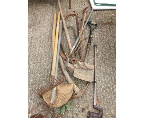 Quantity of Garden Tools 