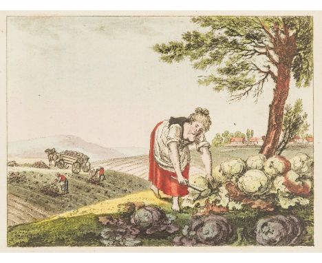 NO RESERVE Agriculture.- Oekonomisches Bilderbuch, oder Historisch-Bildliche Darstellung der Landwirthschaft...,Second Series