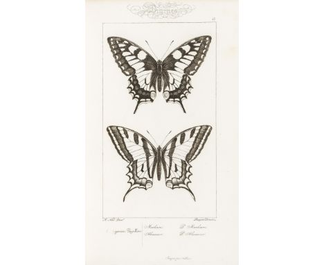 NO RESERVE Natural History.- Lucas (Pierre Hippolyte) Histoire Naturelle des Lépidoptères d'Europe, engraved title and 80 pla