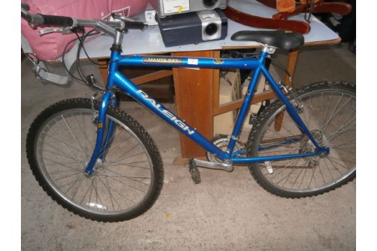 raleigh manta ray mountain bike