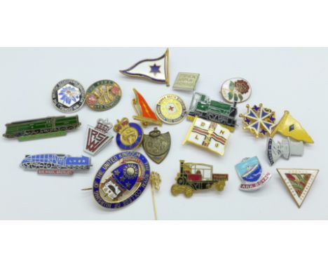 Enamel badges including The British Beekeepers Association, RNLI and The Royal College of Nursing of The United Kingdom and a