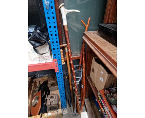 A collection of walking sticks, an umbrella, and a shooting stick 