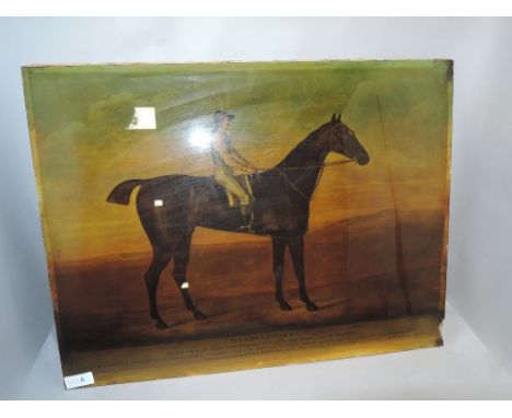 A cystoleum style print of a race horse