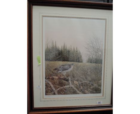 A signed and limited print signed J,S Waide, depicting Buzzard in moor land.74/500.