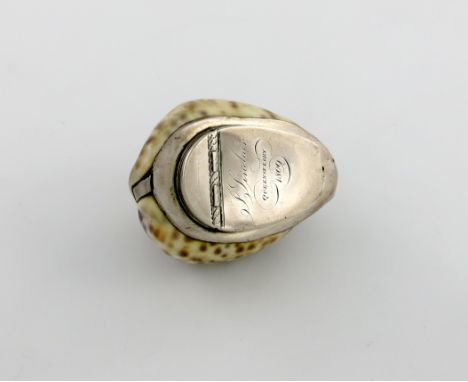 An early 19th century silver mounted cowrie shell snuff box, unmarked, circa 1809, the flush hinged cover inscribed 'J. Sincl