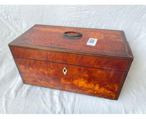 George III Satinwood tea caddy with crossbanded borders 12 in long