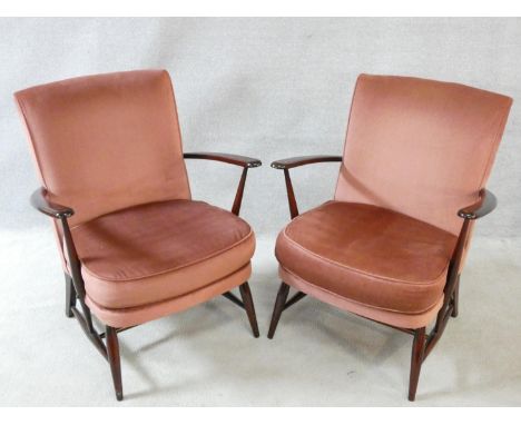 A pair of mid century vintage Ercol beech framed salon chairs in dusty pink velour upholstery. H.82cm