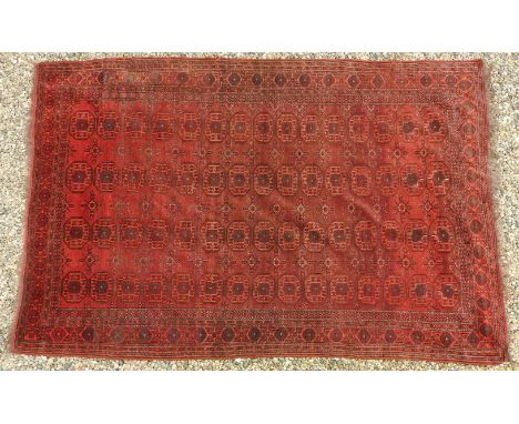 A hand knotted Bokhara carpet, the red fields with repeated elephant foot motifs within a multi border, 275cm x 184cm