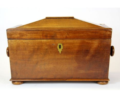 An early 19th Century mahogany tea caddy, W. 35cm H. 20cm