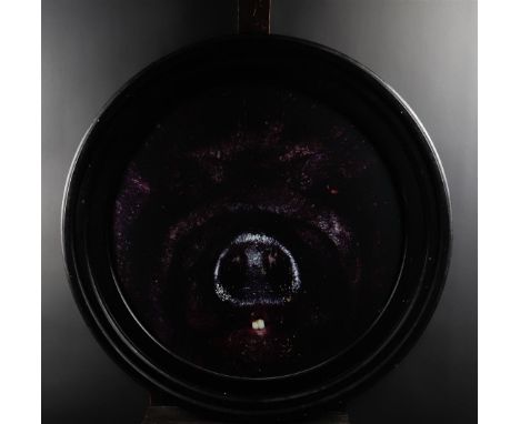 Cornelie Tollens (B. 1964), Pig, photo print, signed and annotated with title verso. 66 x 65 cm.