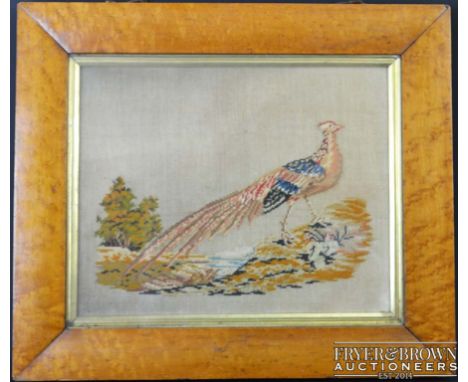 A Woolwork tapestry of a Pheasant,  in birdseye maple frame, 54.5 x 47cm max inc frame