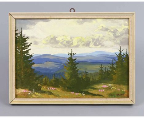 Blick über's Erzgebirge - Herzing, Minni Öl auf Hartfaser rechts unten signiert Minni Herzing, Blumenmalerin Minni Herzig geb