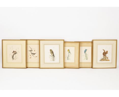 Edwin T Chicken (British, born 1940)/Animals and Birds/all signed in pencil and with Fine Art Trade Guild blind stamp/four co