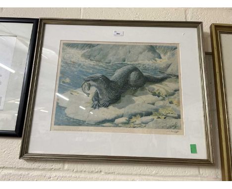 After Charles Frederick Tunnicliffe (1901-1979), Otter feeding on a fish, limited edition lithograph, numbered 484 (of 500 co