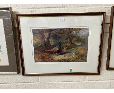 After Archibald Thorburn (British,1860-1935), a group of ring necked and hen pheasants in woodland, limited edition lithograp