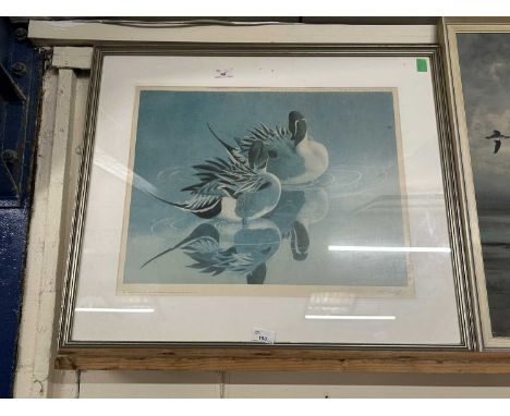 After Charles Frederick Tunnicliffe (1901-1979), 'Pintail', limited edition lithograph, numbered 484 (of 500 copies) and sign