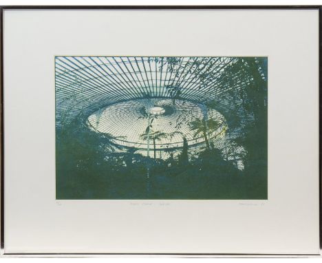 * JOHN MCKECHNIE,KIBBLE PALACE, CUPOLAetching, signed, titled and numbered 19/40 in pencil34cm x 46cm framed and under glass 
