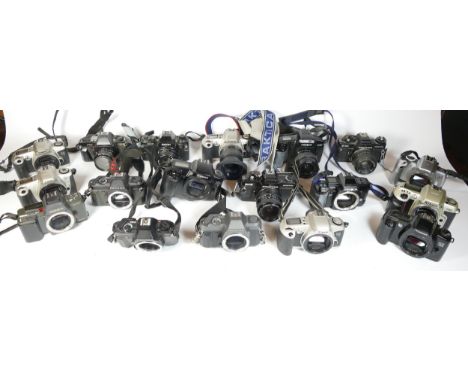 Twenty five SLR vintage film cameras to include a Nikon F80, a Ricoh XR-P, a Canon EOS 300 and a Pentax P50 